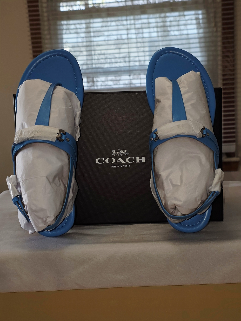 COACH Caterine Semi Matte Calf Leather Sandals in Azure Size 7M